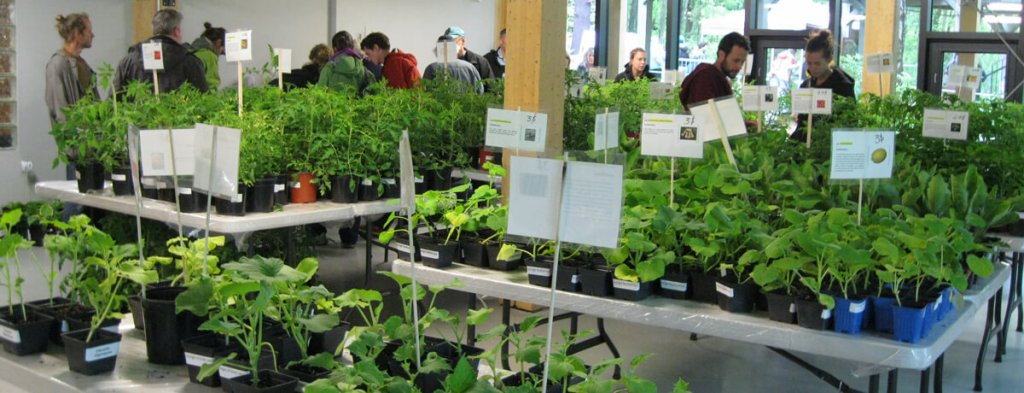 Marais de la Rivière aux Cerise, foire horticole