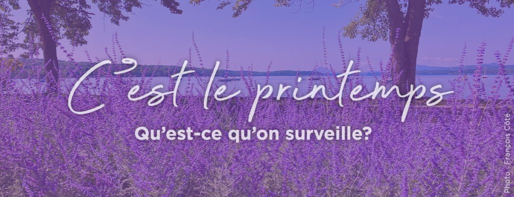 Actualité - C’est le printemps! Qu’est-ce qu’on surveille?