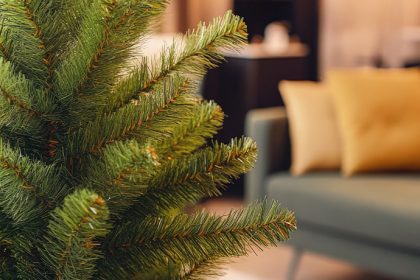 Actualité - Comment vous départir de votre sapin de Noël?