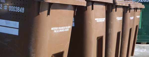 Bacs bruns - Matières compostables